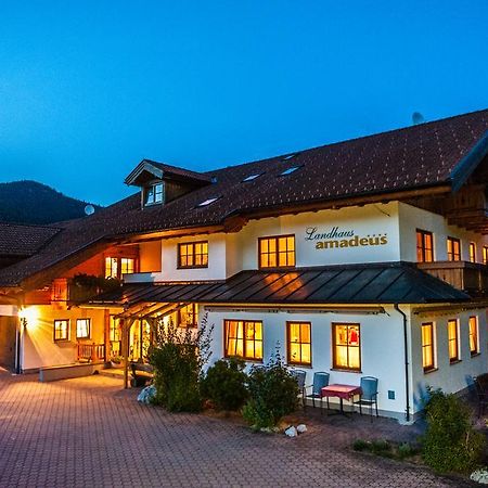 Resort Amadeus-Landhaus Amadeus Грёбминг Экстерьер фото